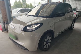 五菱汽车 五菱缤果 2024款 333km 悦享款