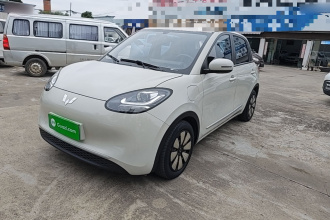 五菱汽车 五菱缤果 2023款 333km 悦享款