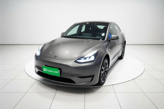 特斯拉 Model Y 2021款 Performance高性能全轮驱动版