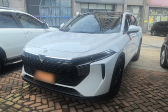 启辰大V 2024款 260T 爱豆悦行版Pro