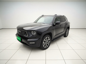 哈弗大狗 PLUS 2023款 2.0T 四驱潮野Plus