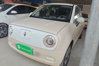 欧拉黑猫 2022款 301km 基础型 三元锂