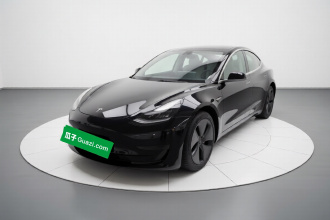 特斯拉 Model 3 2020款 改款 标准续航后驱升级版
