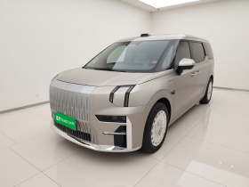 极氪009 2022款 WE版