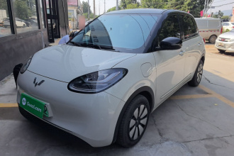 五菱汽车 五菱缤果 2024款 333km 悦享款