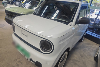 吉利银河 2024款 熊猫mini 200km 耐力熊