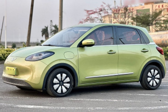 五菱汽车 五菱缤果 2023款 333km 悦享款