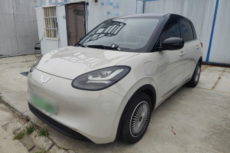 五菱汽车 五菱缤果 2024款 333km 悦享款