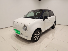 欧拉黑猫 2019款 351km 女神版