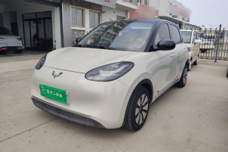 五菱汽车 五菱缤果 2023款 203km 舒享款