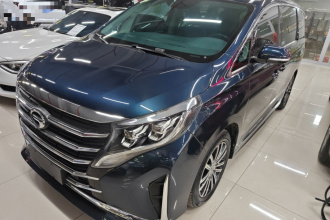 广汽传祺 传祺M8 2021款 领秀系列 390T 至尊版