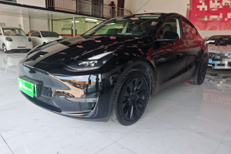 特斯拉 Model Y 2021款 长续航全轮驱动版