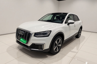 奥迪Q2L e-tron 2019款 Q2L e-tron 纯电智酷型