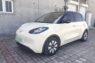 五菱汽车 五菱缤果 2025款 410km 灵犀尊享款