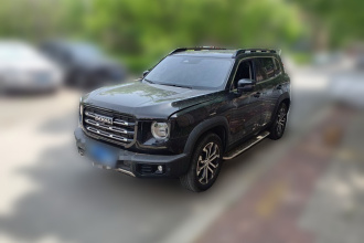 哈弗大狗 2022款 1.5T DCT两驱边牧版