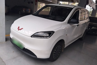 五菱汽车 五菱宏光新能源 2024款 纯电版 300KM 标准型