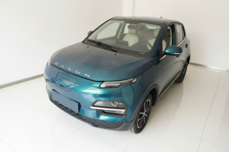 大运 悦虎 2023款 230 标准版