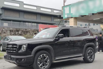 哈弗大狗 2022款 2.0T DCT四驱哮天犬版