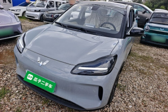 五菱汽车 五菱缤果PLUS 2024款 510km 五座版