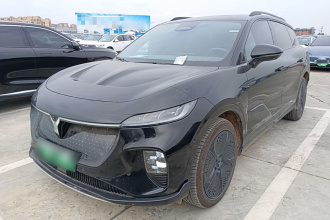 岚图汽车 岚图知音 2024款 四驱全球版
