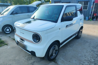 吉利银河 2023款 熊猫mini 200km 灵动熊