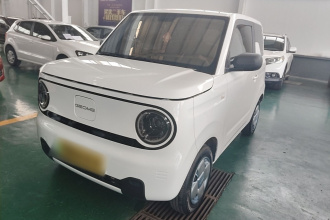 吉利银河 2024款 熊猫mini 200km 耐力熊