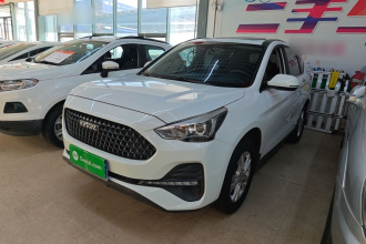 哈弗M6 2019款 1.5T DCT两驱超值版 国VI