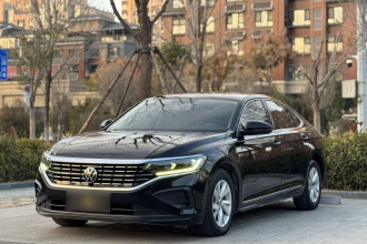 大众 帕萨特 2022款 280TSI 商务版