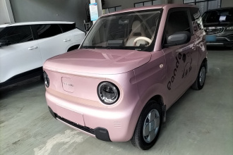 吉利银河 2023款 熊猫mini 200km 耐力熊