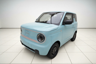 吉利银河 2023款 熊猫mini 200km 耐力熊