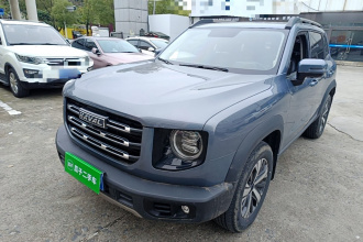 哈弗大狗 2022款 1.5T DCT两驱拉布拉多版