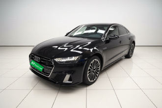 奥迪A7L 2024款 45 TFSI 豪华型
