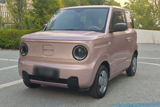 吉利银河 2024款 熊猫mini 200km 耐力熊