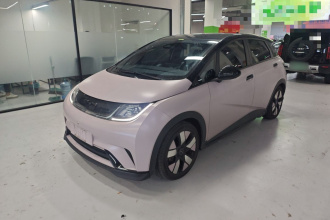 比亚迪 海豚 2021款 401km 骑士版