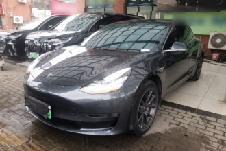 特斯拉 Model 3(进口) 2019款 长续航后驱版