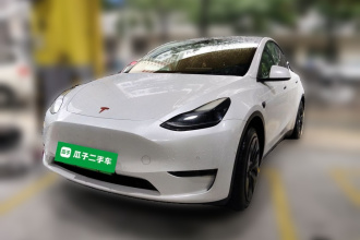 特斯拉 Model Y 2021款 标准续航后驱版