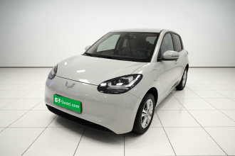 五菱汽车 五菱缤果 2023款 333km 快享款