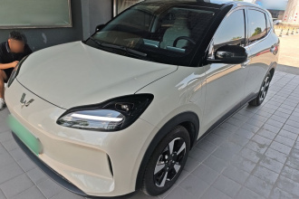 五菱汽车 五菱缤果PLUS 2024款 330km 五座版
