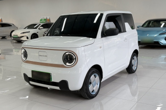 吉利银河 2024款 熊猫mini 200km 耐力熊