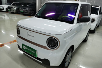 吉利银河 2024款 熊猫mini 200km 耐力熊