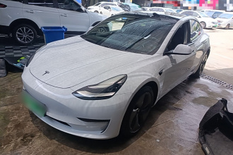 特斯拉 Model 3 2020款 改款 长续航后轮驱动版