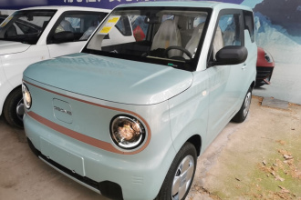 吉利银河 2024款 熊猫mini 200km 耐力熊