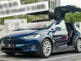 特斯拉 Model X 2019款 长续航版