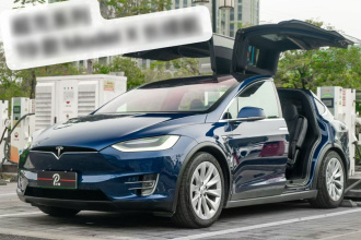 特斯拉 Model X 2019款 长续航版