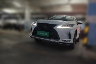 雷克萨斯RX 2020款 300 两驱舒适版 国VI
