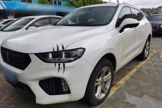 魏牌 VV5 2019款 1.5T 两驱颜先锋