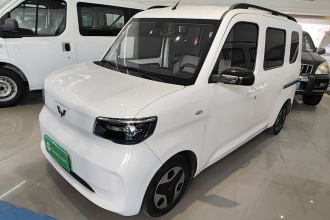 五菱汽车 五菱之光新能源 2025款 305km 进取型
