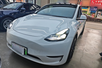 特斯拉 Model Y 2021款 标准续航后驱版