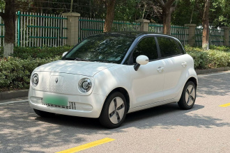 欧拉黑猫 2022款 301km 萌宠版 磷酸铁锂