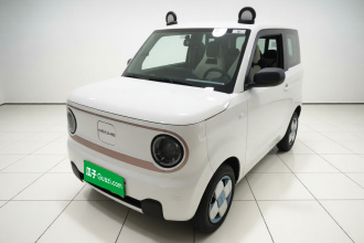 吉利银河 2024款 熊猫mini 200km 耐力熊